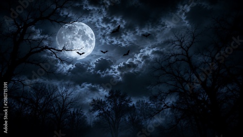 Full moon shining over dark forest with bats