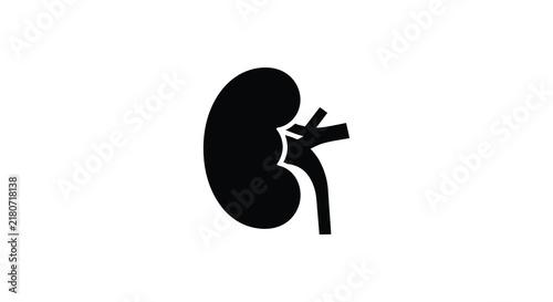 Konstfotografi Kidney silhouette against a white background anatomical illustration