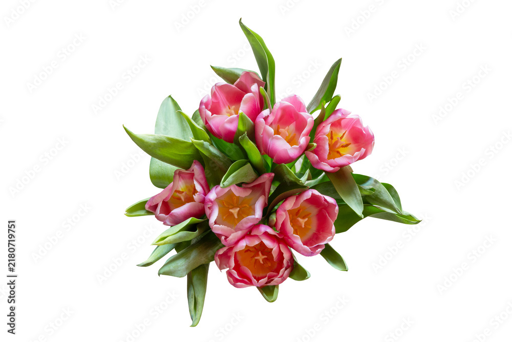 Obraz premium Fresh pink tulip bouquet with vibrant blooming flowers and lush green leaves isolated on transparent background, elegant spring floral arrangement symbolizing love, top view, freshness and celebration