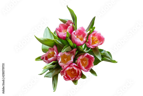 Fresh pink tulip bouquet with vibrant blooming flowers and lush green leaves isolated on transparent background, elegant spring floral arrangement symbolizing love, top view, freshness and celebration