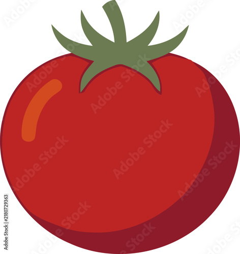 vector illustration of a red a tomato
