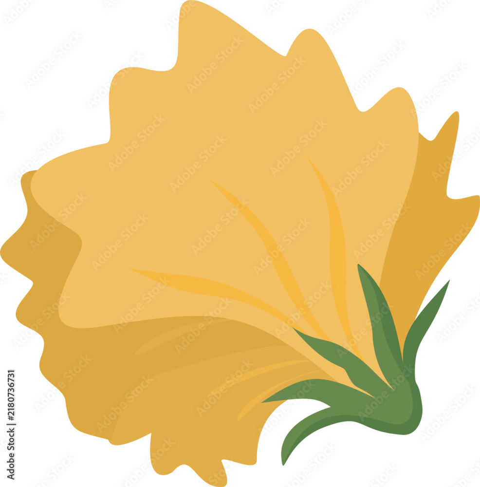Fototapeta premium Yellow Carnation Flower Head Botanical Illustration
