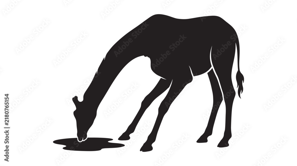 Obraz premium Giraffe drinking water black silhouette against a white background