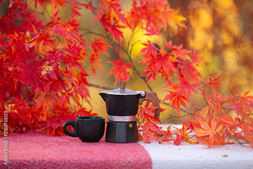 Cuadro en lienzo Autumn table holds coffee mug