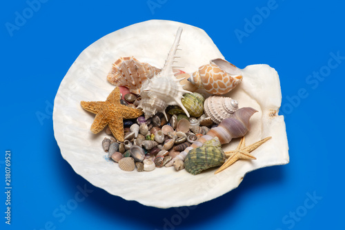 Konstfotografi Shell beach tropical scene