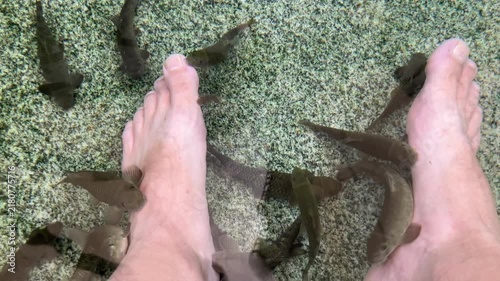Top view of bare feet submerged in transparent water during natural fish spa treatment. Garra rufa fish swimming around toes for organic foot exfoliation and massage