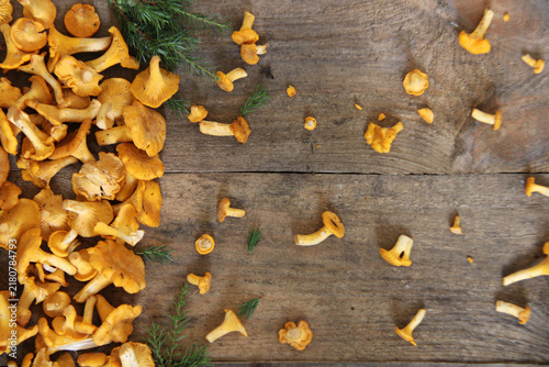 Forest chanterelle mushrooms on a wooden background