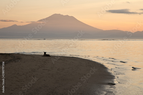 Fotografie A lonely dog rests on the sandy shore of Sanur beach at dawn, with the magnificent silhouette of Mount Agung volcano rising in the background under a golden sky in Bali