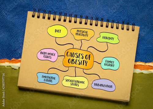 фотографія lifestyle, genetic, environmental and pychological causes of obesity, mind map i