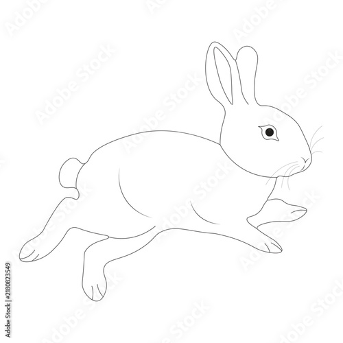 Running Rabbit Outline Vector Art - Minimalist Hare & Bunny Line Art Icon