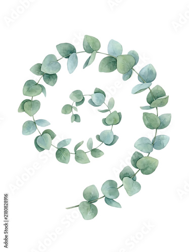 Watercolor Eucalyptus Leaf Branch with Soft Green Botanical Foliage
