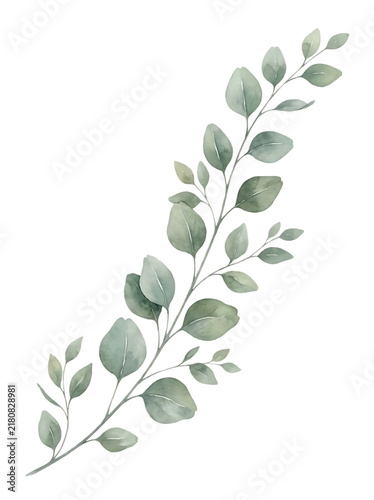 Watercolor Eucalyptus Leaf Branch with Soft Green Botanical Foliage