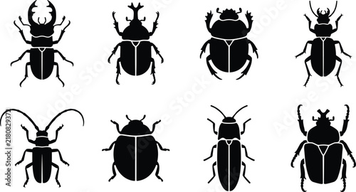 Beetles and Insects Species Silhouette Vector Icons Set Isolated on White Background