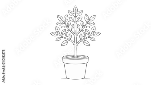 Potted Plant Sketch: A stylized, hand-drawn sketch of a small tree in a pot, showcasing its leaves and branches with simple, clean lines.