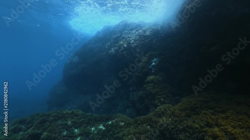 Undersea landscape - Scuba diving in th Mediterranean Sea