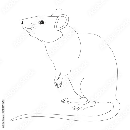 Standing Rat Outline Vector Line Art - Minimalist Mouse Logo Icon