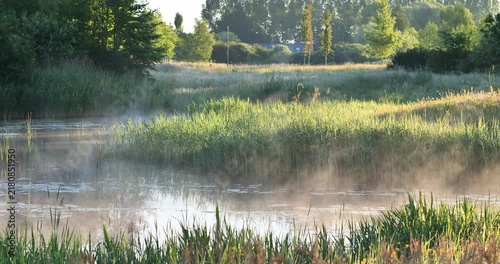 Misty morning over wetland. Tall grasses line calm water. Sunlight filters through trees
