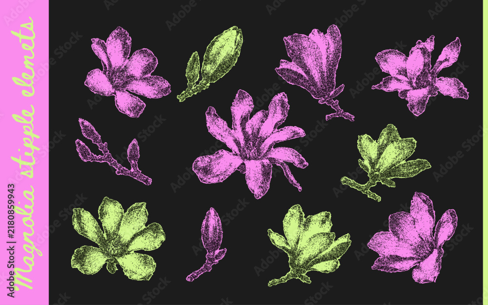 Obraz premium Neon magnolia flower collection in pink and lime tones with stippled grain, buds and blooming branches on black. Botanical elements for collage, posters and contemporary print design. Vector illustrat