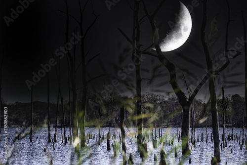Canvastavla Moon Over Lake