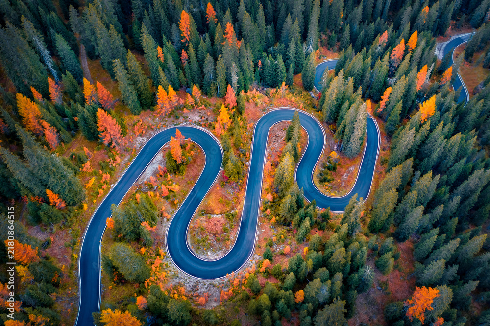Obraz premium Fantastic autumn view of winding road in fir tree forest. Wonderful morning scene of asphalt roadway among fir and larch woodland. Amazing outdoor scene of Dolomite Alps. Traveling concept background.