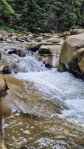 A fast spring stream between mountain rocks