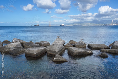 Seagulls on Coastal Rocks in Milazzo, Sicily
