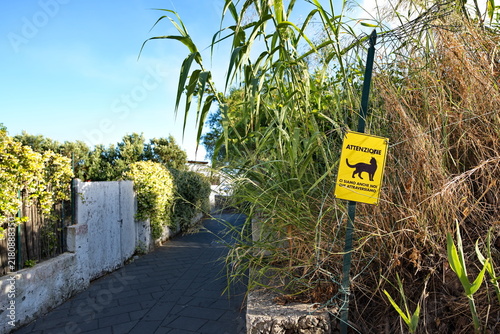 Cat Crossing Warning Sign on a Path in Milazzo, Sicily