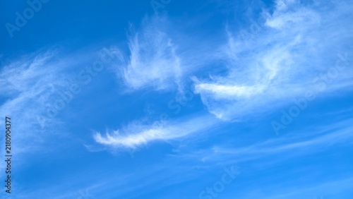 Bild auf Leinwand clear blue sky, perfect for use in travel, adventure or aviation themes