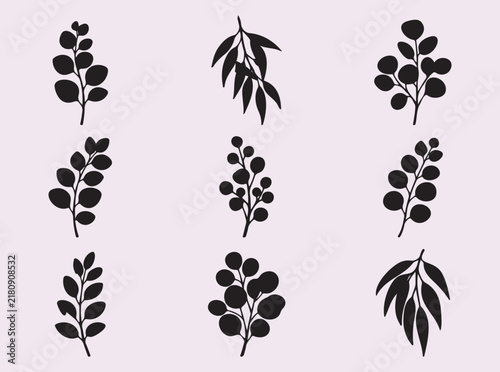 Eucalyptus branches silhouette isolated on light background for natural design.