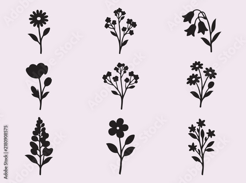 Wildflowers silhouettes isolated on light background for floral design.