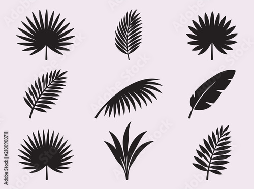 Palm leaf silhouette collection black tropical foliage set for exotic summer travel design projects.