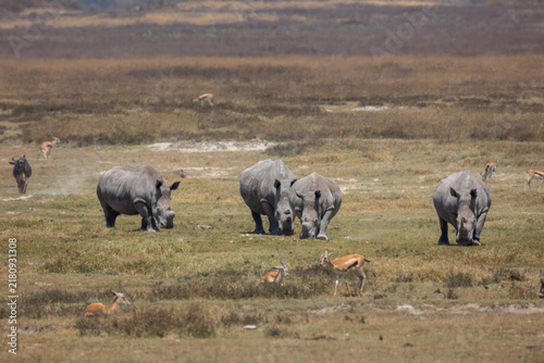 Photography Group of Rhino