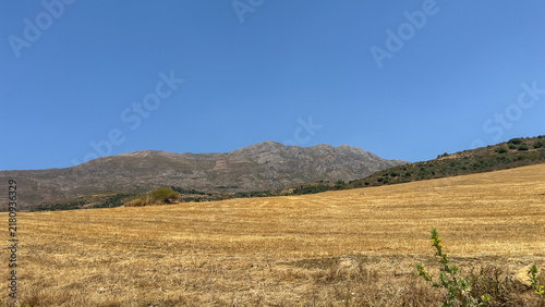 Dry Agricultural Fields with Mountain Horizon Under Blue Sky