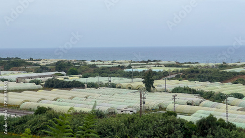 Greenhouse Farming Tunnels along Coastal Horizon Under Overcast Sky