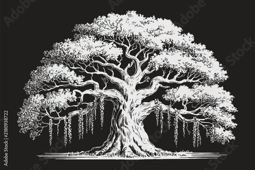 Spanish Moss Live Oak Tree Silhouette, Detailed Hanging Moss Illustration for Landscape, Botanical, Nature, Garden, and Outdoor Designs