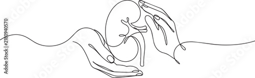 Continuous line of two hands holding a human kidney on a white background, for medical health, care line continuous