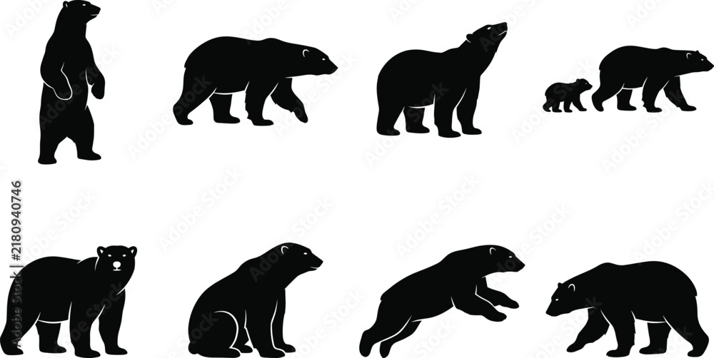 Fototapeta premium Set of black polar bear silhouettes in various poses including standing walking sitting and running isolated on white background