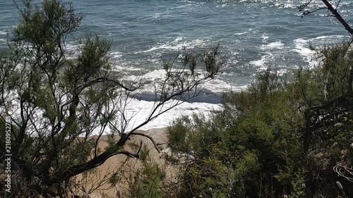 A breathtaking view of powerful sea waves crashing on a sandy beach, seen through wild coastal bushes. This serene yet energetic landscape evokes a feeling of freedom. Nobody.