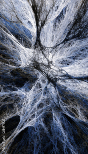 Computer image tree digital photo graphic