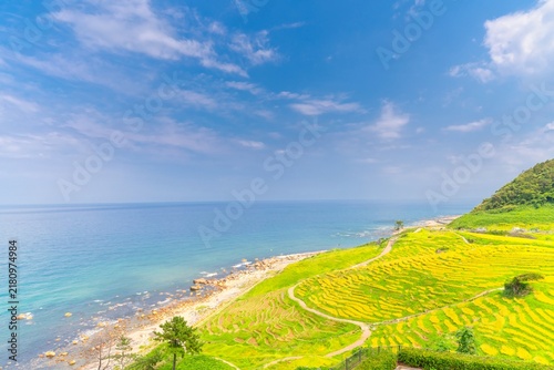 石川県・能登半島 白米千枚田