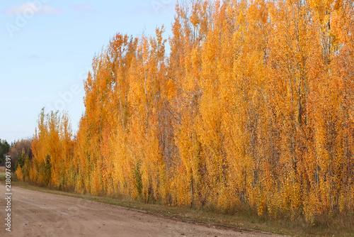 Autumn Splendor On The Canadian Prairies