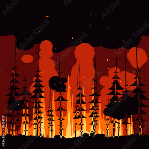 silhouette of a tree in the night fire