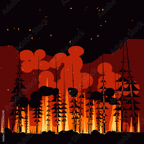 silhouette of a tree in the night fire