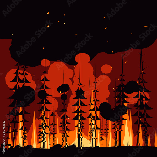 silhouette of a tree in the night fire