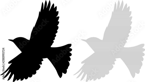 Two birds in flight a black silhouette and a lined grey vector against a white background