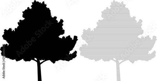 Vector silhouette of a deciduous tree in solid black and grey stripes on a white background for nature concepts
