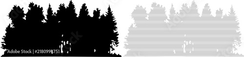 Forest silhouette with pine trees and evergreen foliage during daytime in clean vector style