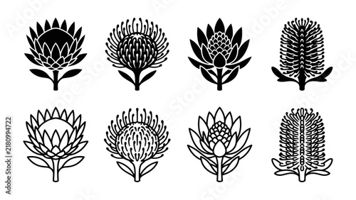 Botanical Icons: A collection of stylized black and white icons showcasing the intricate beauty of protea and banksia flowers, presented in both solid and outline formats.