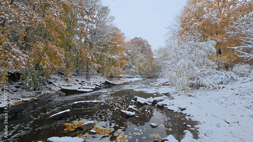 Photography Unexpected snow falls on autumn trees in Toronto