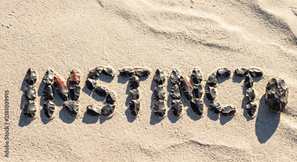 Fototapeta premium Seashell lettering spells insurance on sunlit beach sand